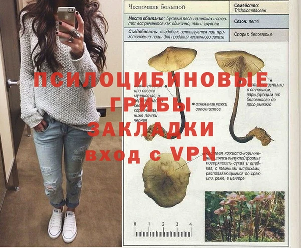 МДПВ Алзамай